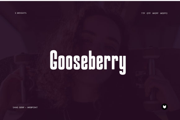 Gooseberry: A Review from a Designer's Desk